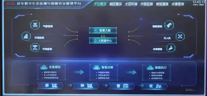 &#24320;&#20113;&#32593;&#39029;&#29256;